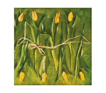 Guardanapos Fresh Tulips Pack 20uni Ref.SDL 228300
