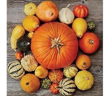 Guardanapos Pumpkin Composition Pack 20uni Ref.SDL 127300