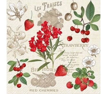 Guardanapos Summer Fruits Pack 20uni Ref.SDL 140300