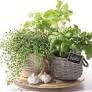 Guardanapos Flavor of Herbs Pack 20uni Ref.SDL 874000